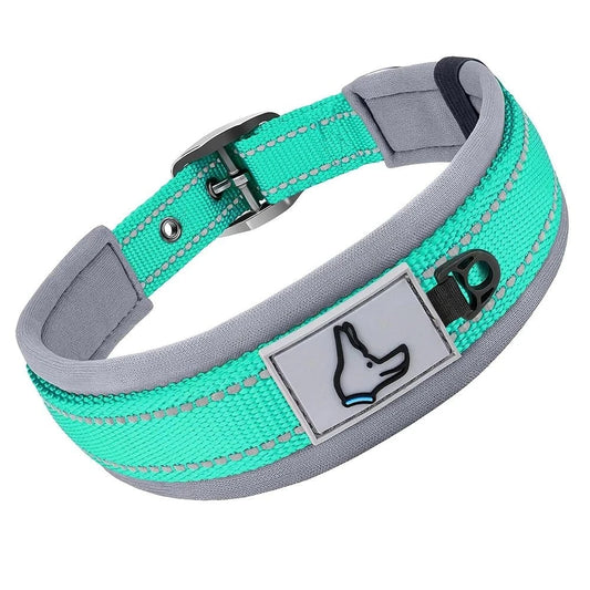 Collier réfléchissant en nylon - Turquoise - S