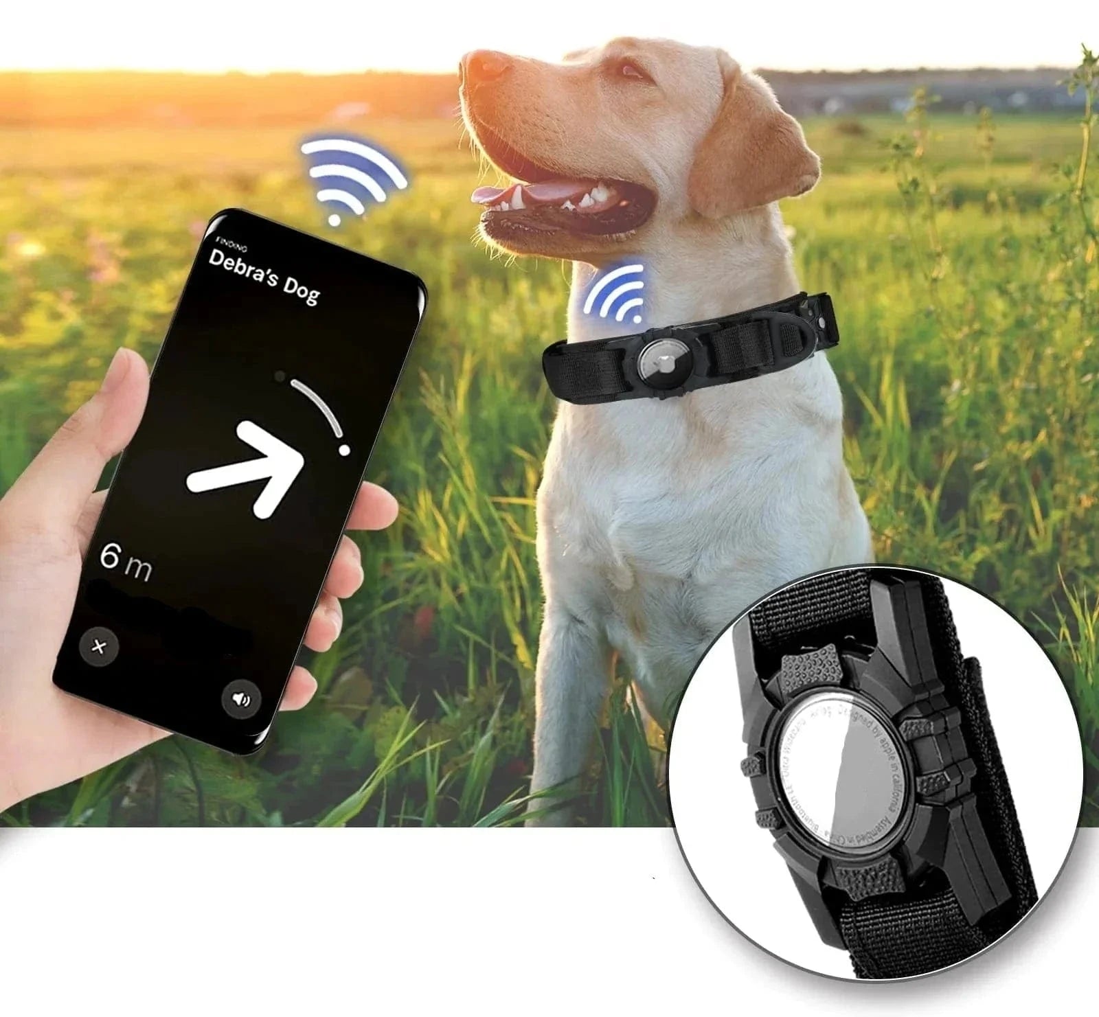 Collier Tactique avec support AirTag, interface smartphone pour chiens moyens