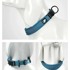 Collier Truelove pour chien avec attache sécurisée, rembourré et ajustable, couleur bleue