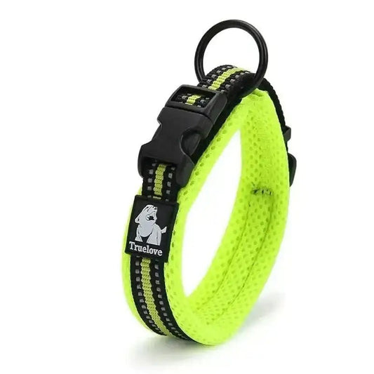 Collier Truelove pour chien avec attache sécurisée, collier sport pour chien truelove