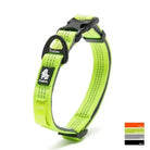 Collier chien truelove ajustable avec attache rapide, en nylon vert et boucle noire
