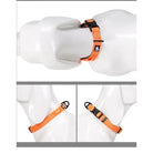Collier nylon Truelove pour chien ajustable et réfléchissant avec attache rapide
