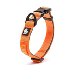 Collier chien truelove ajustable en nylon orange avec attache rapide et réflexion