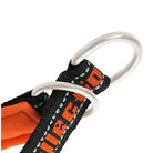 Image du collier Truelove pour chien rembourré et sécurisé avec des anneaux en métal