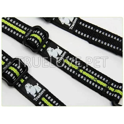 Collier pour chien en acier inoxydable avec bandes réfléchissantes et joint torique