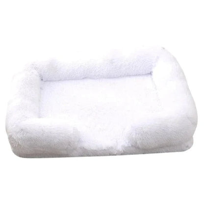 Coussin Douillet pour Nuits Paisibles, coussin amovible, confort optimal, entretien facile