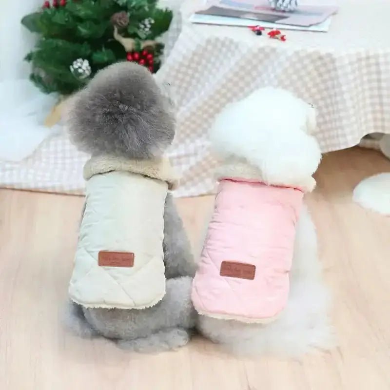 Deux chiens portant des manteaux matelassés chauds pour chien hiver avec col en fourrure