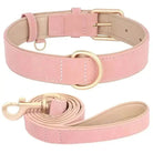 Collier et laisse en cuir rose pour chien, ensemble élégant et pratique pour un look chic