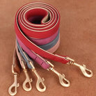Laisse colorée en cuir avec clip métallique, assortie au collier pour chien élégant
