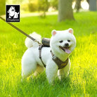 Harnais et laisse Truelove élégant pour chien avec pochette et chien blanc fluffy