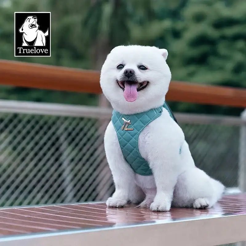 Harnais pour chien biosourcé Truelove 3-en-1 avec petit sac et laisse