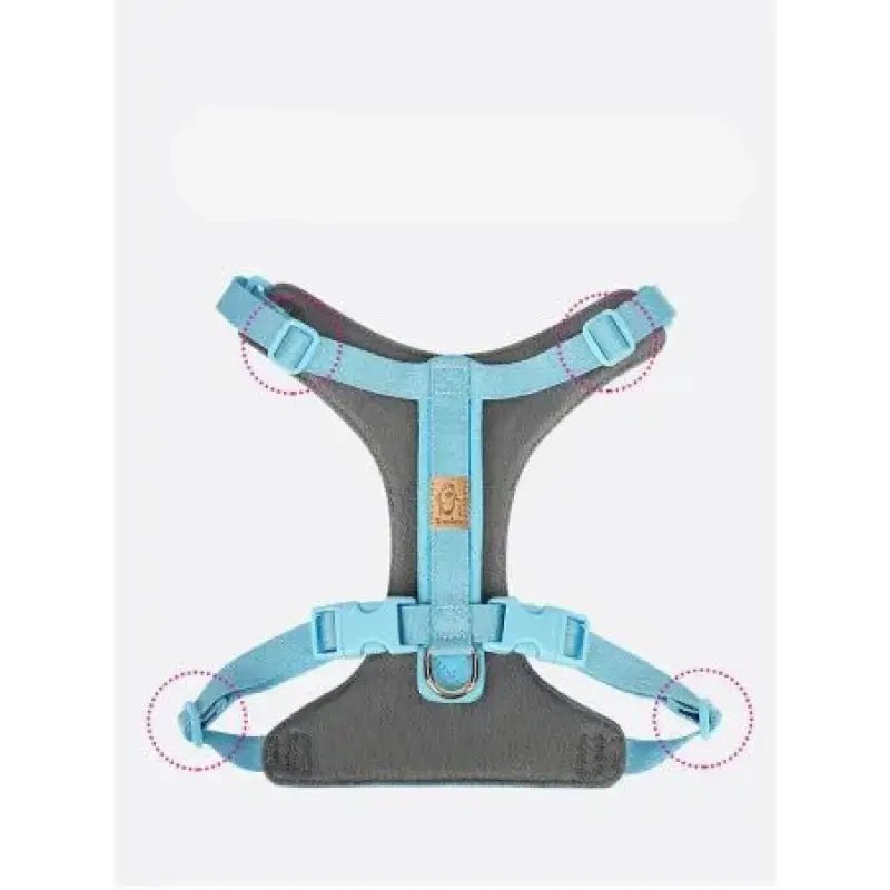 Harnais pour chien Truelove biosourcé 3-en-1 avec petit sac et laisse