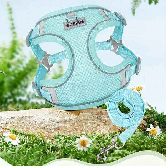 Harnais Aqua Mesh petite à moyenne avec laisse assortie, parfait pour moyenne taille