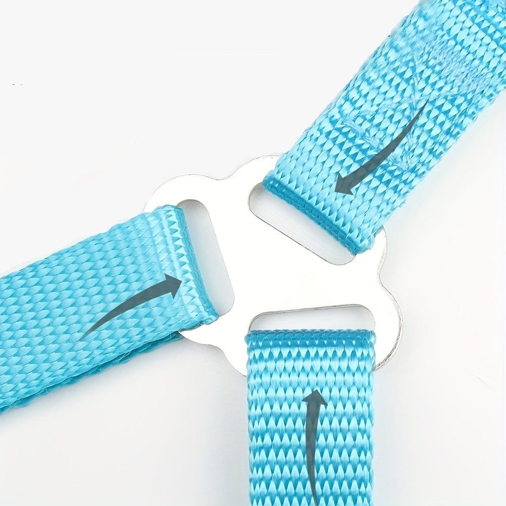 Laisse et harnais respirant en nylon bleu avec boucle en métal pour petite à moyenne taille
