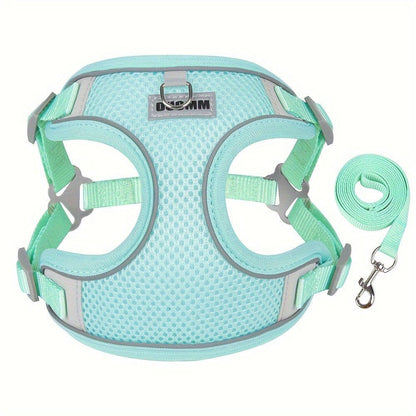 Harnais respirant turquoise pour chien petite à moyenne taille avec laisse réfléchissante