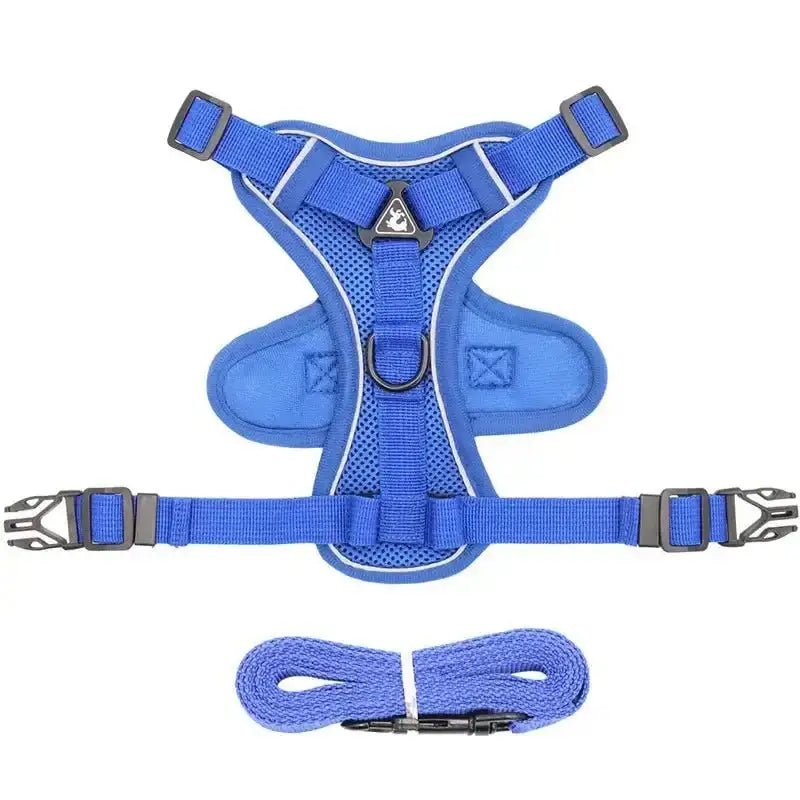 Harnais et laisse en maille bleue pour chiot, ensemble harnais et laisse confortable
