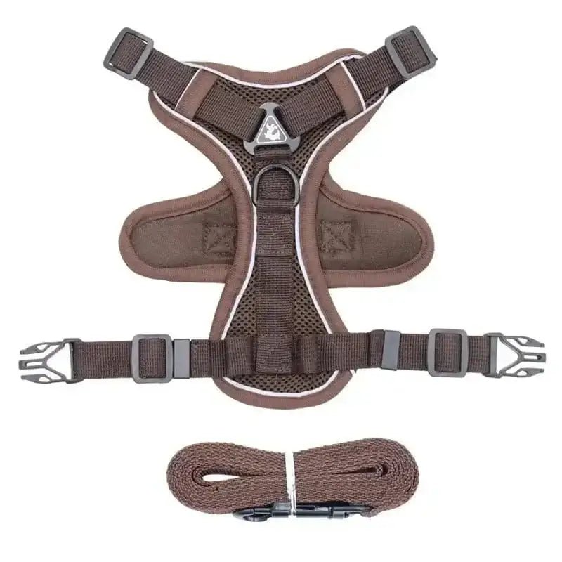 Harnais et laisse pour chiot, ensemble harnais et laisse, duo confortable pour promenade