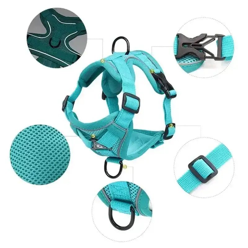 Harnais et laisse pour chiot, ensemble harnais et laisse, ajustements multiples élégants