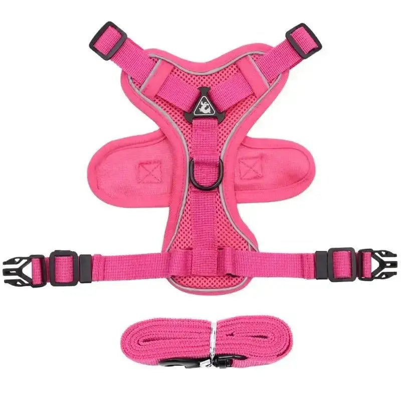 Harnais et laisse pour chiot en ensemble respirant, duo harnais confortable et laisse pour promenade