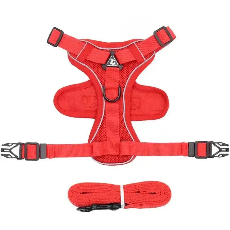 Harnais et laisse pour chien en rouge, ensemble harnais et laisse confortable pour promenade