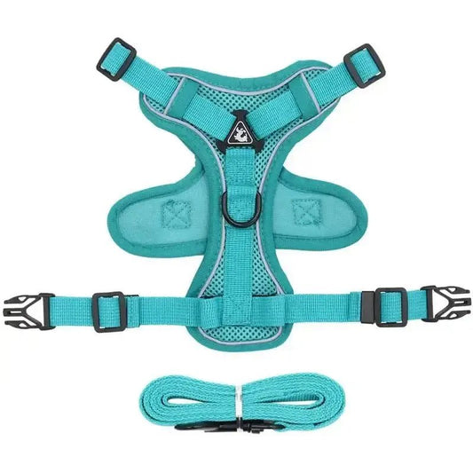 Harnais et laisse pour chiot en turquoise, ensemble harnais et laisse pour promenade