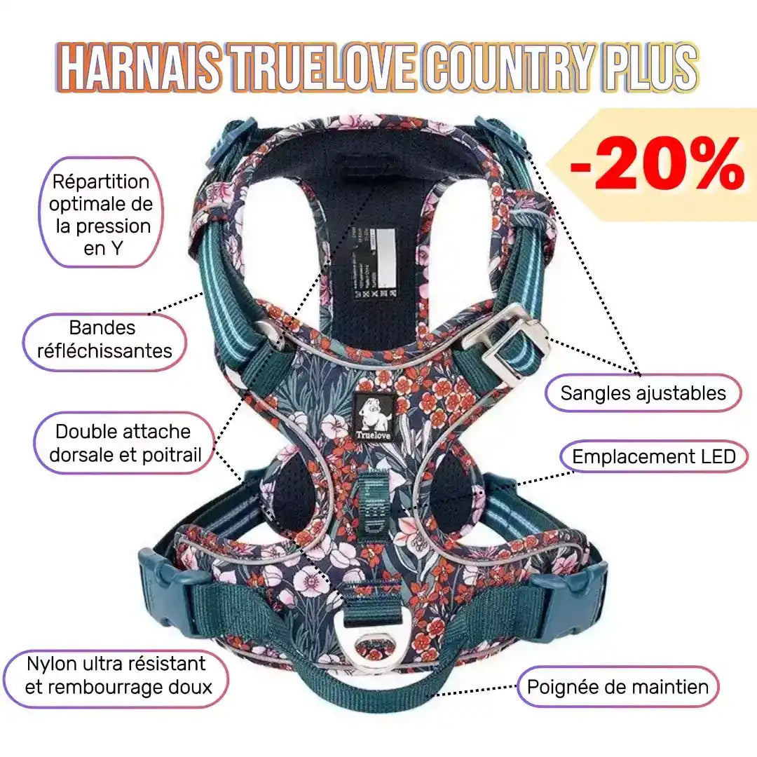 Harnais pour chien floral avec lanières ajustables.