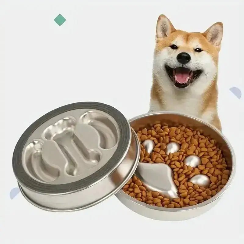 Image d’une gamelle anti-glouton pour chien en inox avec design hygiénique et anti-dérapant
