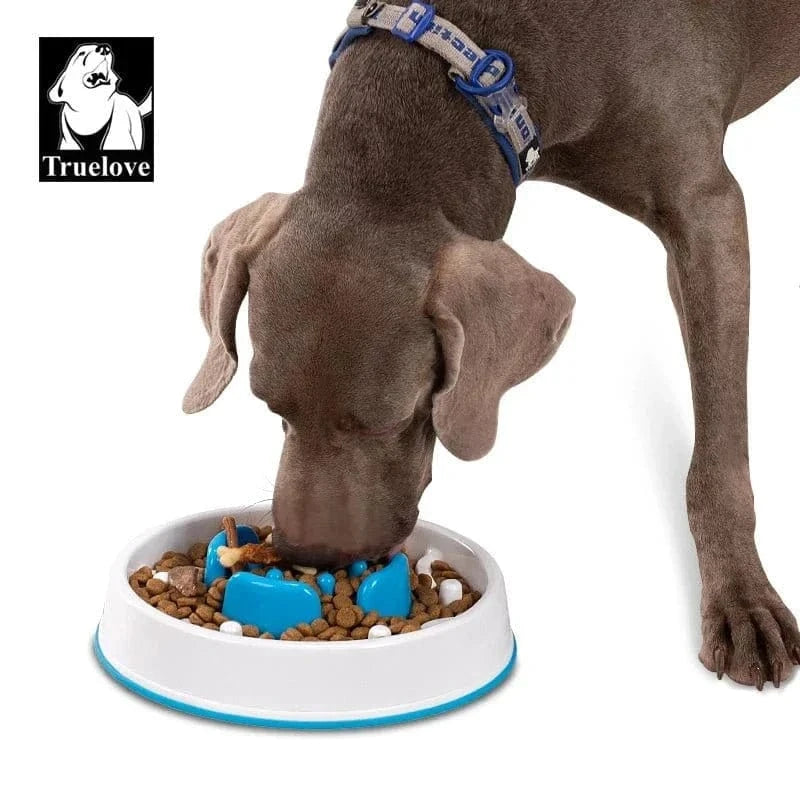 Chien mange dans une gamelle anti-glouton Truelove Ø28.5cm pour moyens chiens
