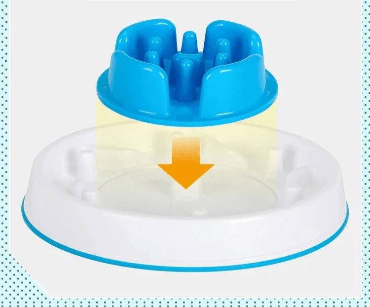 Gamelle anti-glouton bleue blanche pour moyens chiens, idéal pour aliments secs