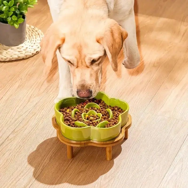 Chien mange dans une gamelle en céramique anti-glouton pour chien en forme de fleur