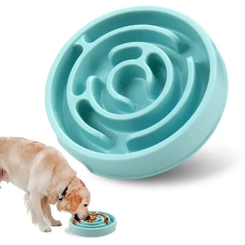Gamelle anti-glouton pour chien en forme labyrinthe, stimulation mentale et ralentisseur de repas