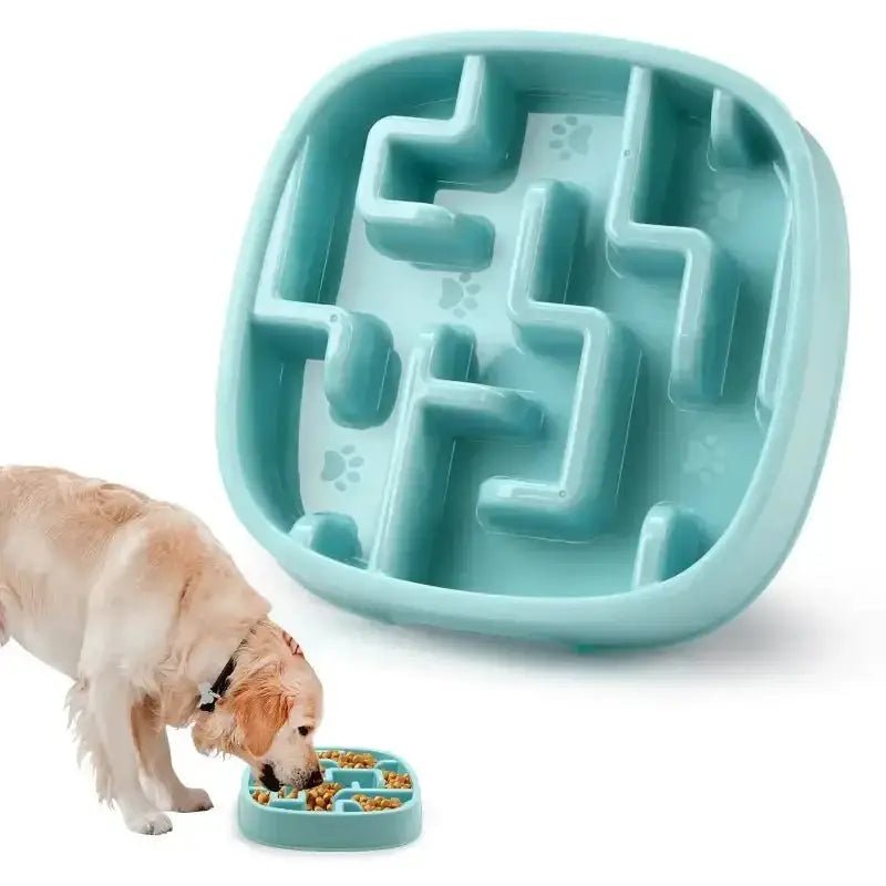 Gamelle anti-glouton pour chien forme labyrinthe en bleu, idéale pour ralentir repas chien