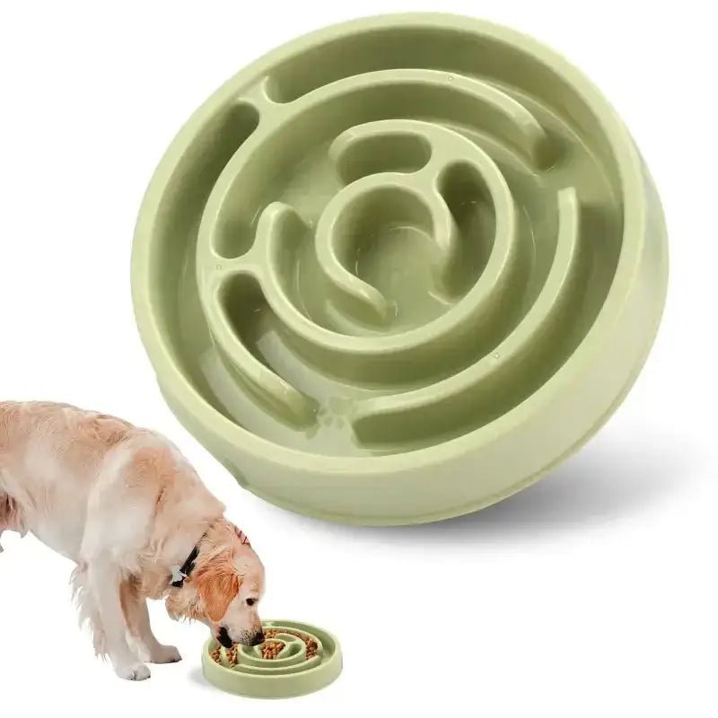Gamelle anti-glouton pour chien forme labyrinthe, stimulation mentale et ralentissement repas