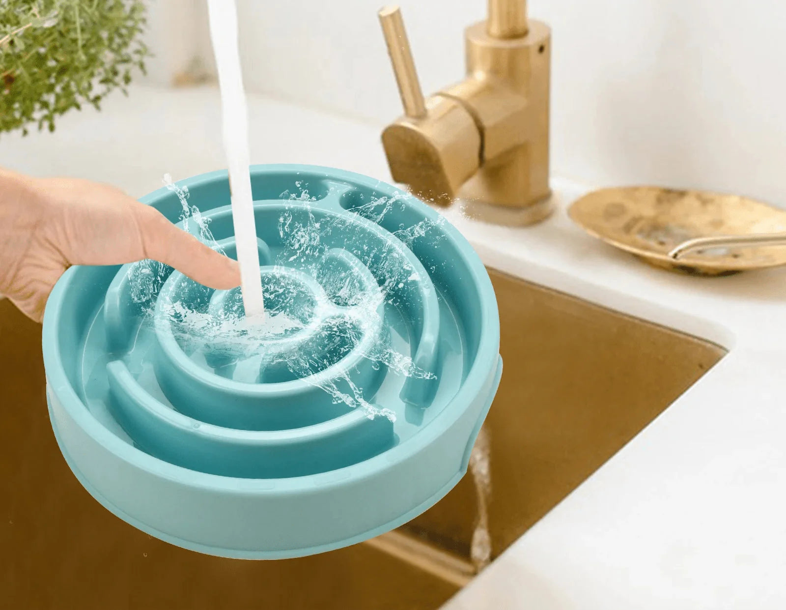 Gamelle d Alimentation Lente turquoise avec spirale pour réduire la vitesse d’alimentation facile à nettoyer
