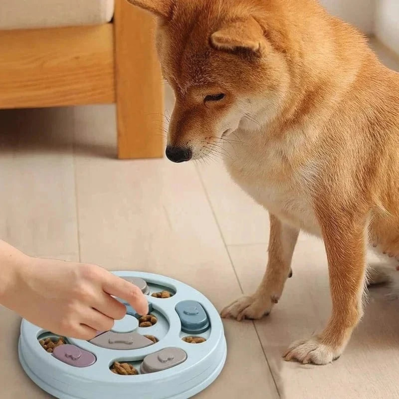Jeu interactif pour chien, gamelle interactive, ralentit l’ingestion, facile à nettoyer