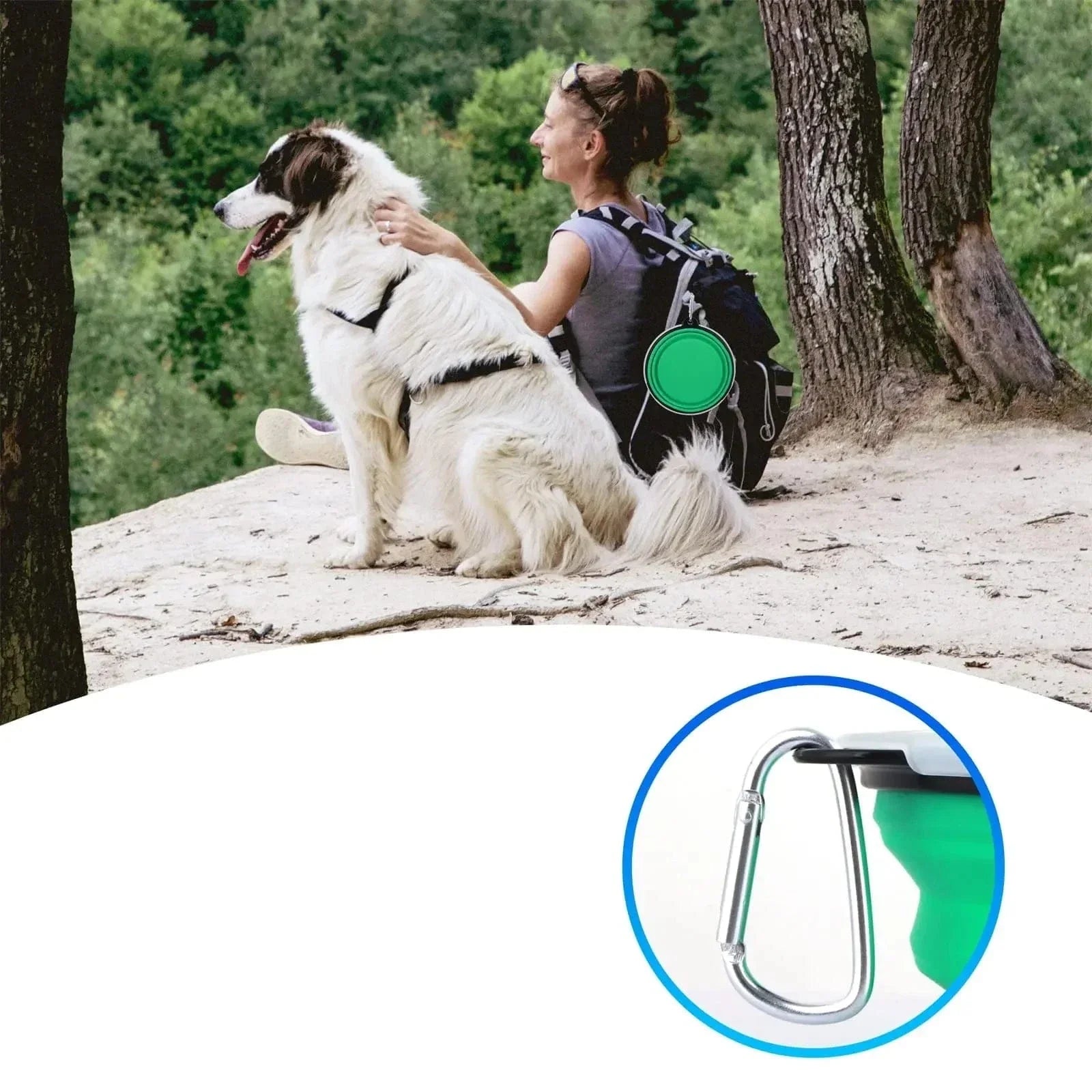 Bouteille d’eau en silicone pliable avec mousqueton, facile à nettoyer et adaptée aux animaux