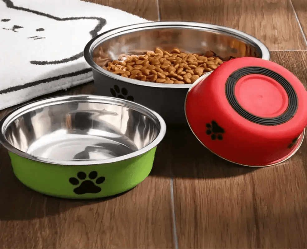 Photo d’une gamelle inox pour chien antidérapante et résistante à l’usure avec logo patte décorative