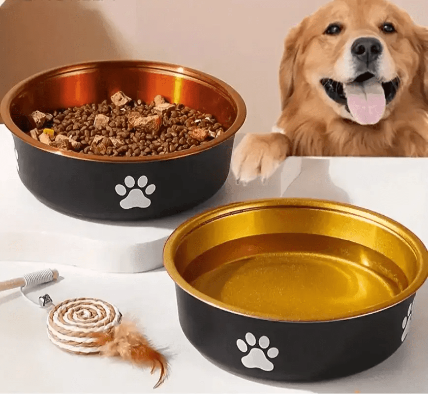 Gamme de gamelle en inox pour chien design avec base antidérapante et motifs de pattes