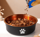 Gamelle en inox pour chien design avec base antidérapante et motif patte