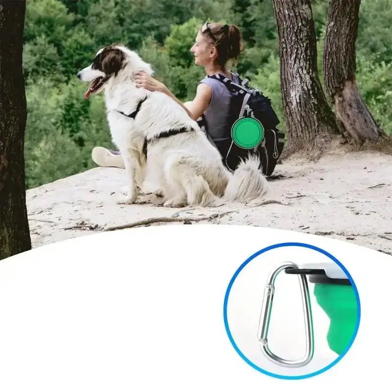 Gamelle pliable pour chien avec mousqueton, transportable, légère et compacte 350 ml