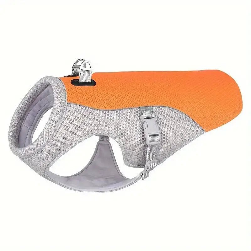 Gilet rafraîchissant pour chien été avec orange et gris, idéal pour promenade