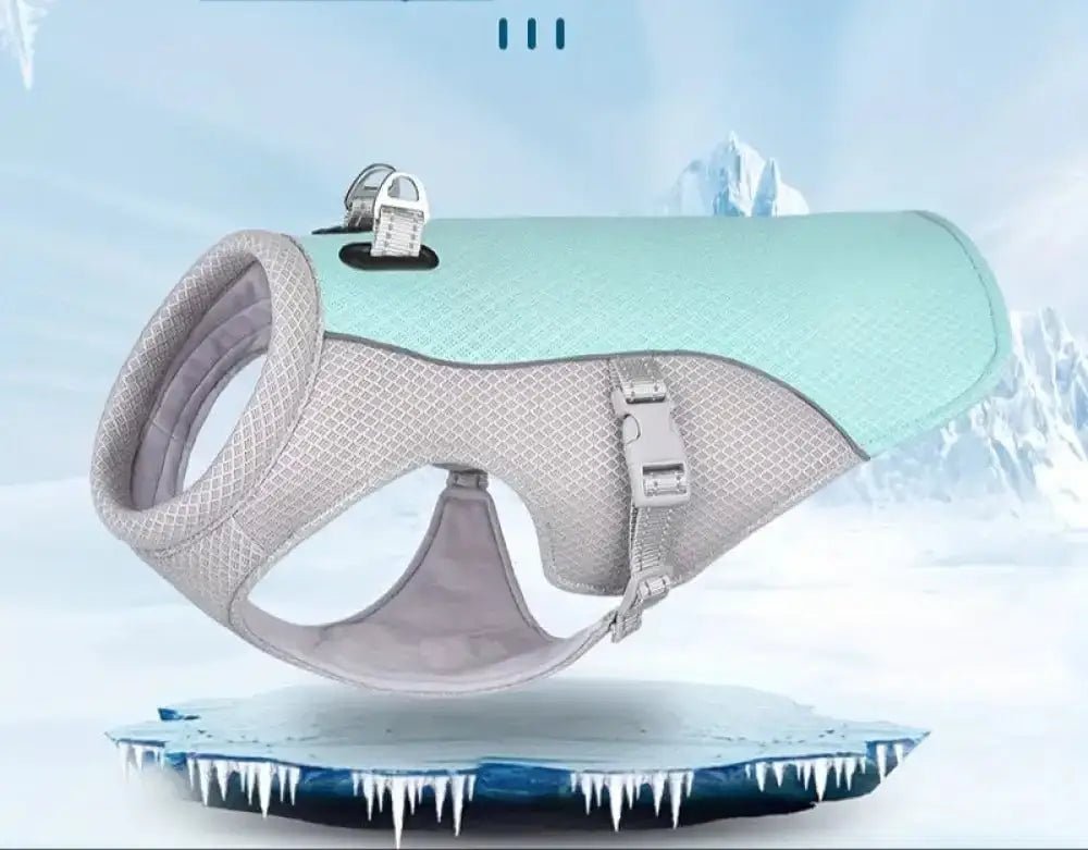 Gilet rafraîchissant pour chien été en menthe vert et gris pour promenade et confort