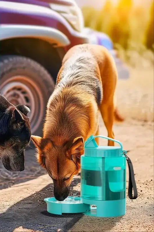 Gourde pour chien grande capacité avec bol intégré, gamelle portable pour chien avec réservoir