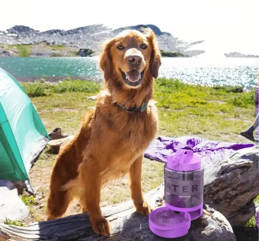 Gourde pour chien grande capacité avec réservoir, gamelle portable pour chien avec réservoir