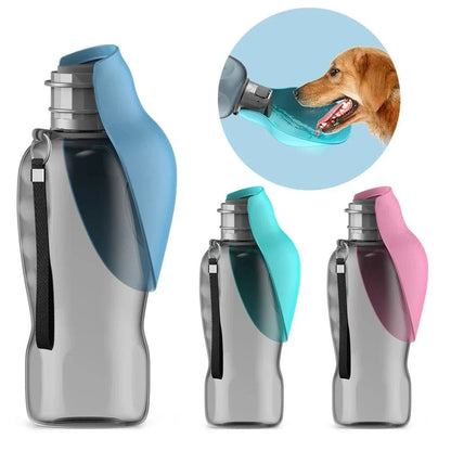 Gourde dEau Portable Grande Capacité 800 ml avec bouteille d’eau portable integrated