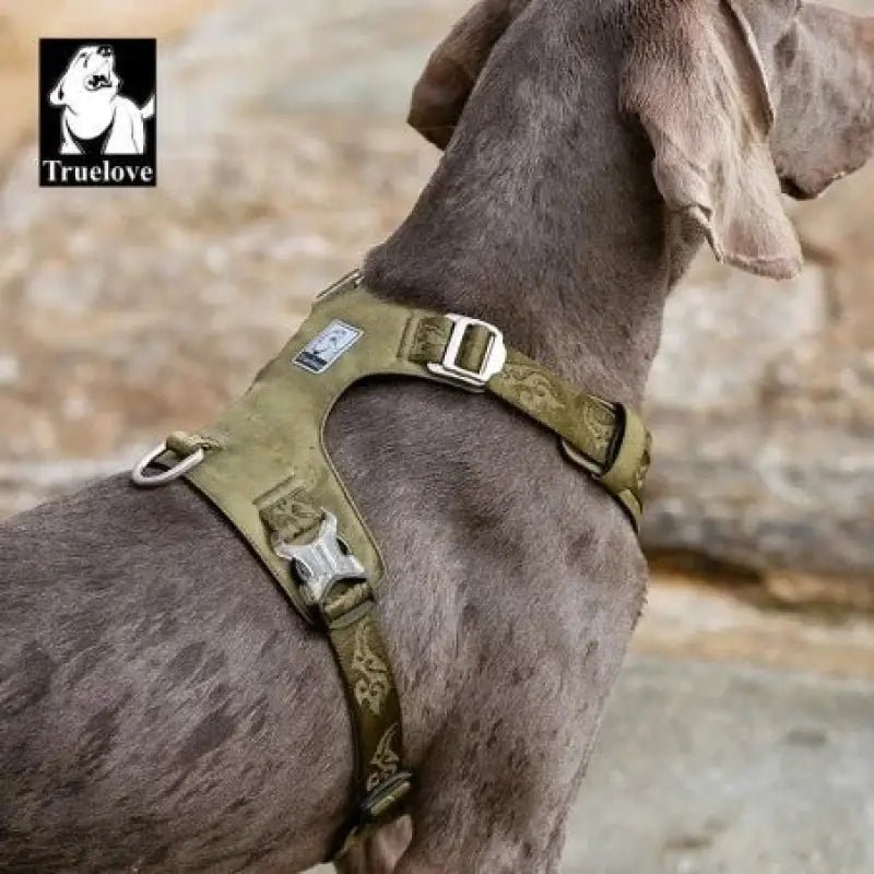 Harnais chien anti traction Colorado Plus Truelove imperméable avec bandoulière décorative