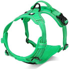 Harnais pour chien Truelove Country en Y rembourré et ajustable avec double attache