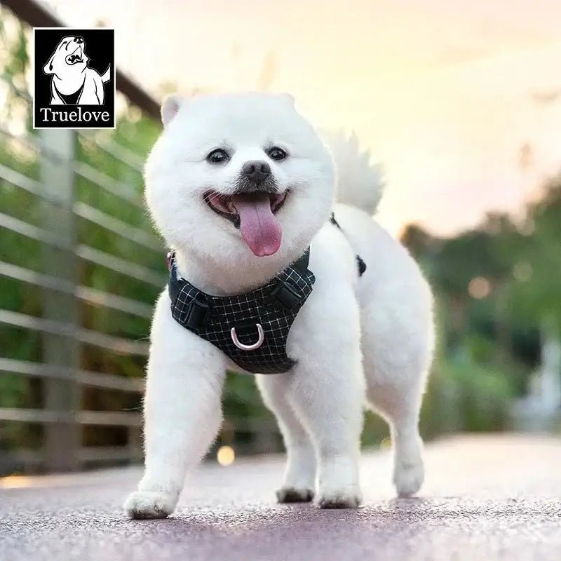 Chien blanc fluffy portant un harnais Truelove TLH6771 avec support GPS et LED rechargeable