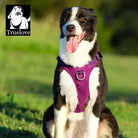 Harnais chien anti traction avec design double, boucles duraflex et tissu Cordura
