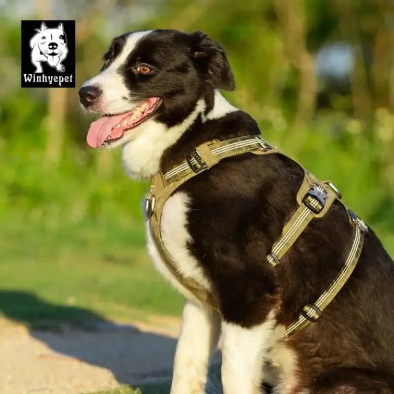 Harnais pour chien WinHyepet Redrock anti traction en tissu Cordura pour Border Collie